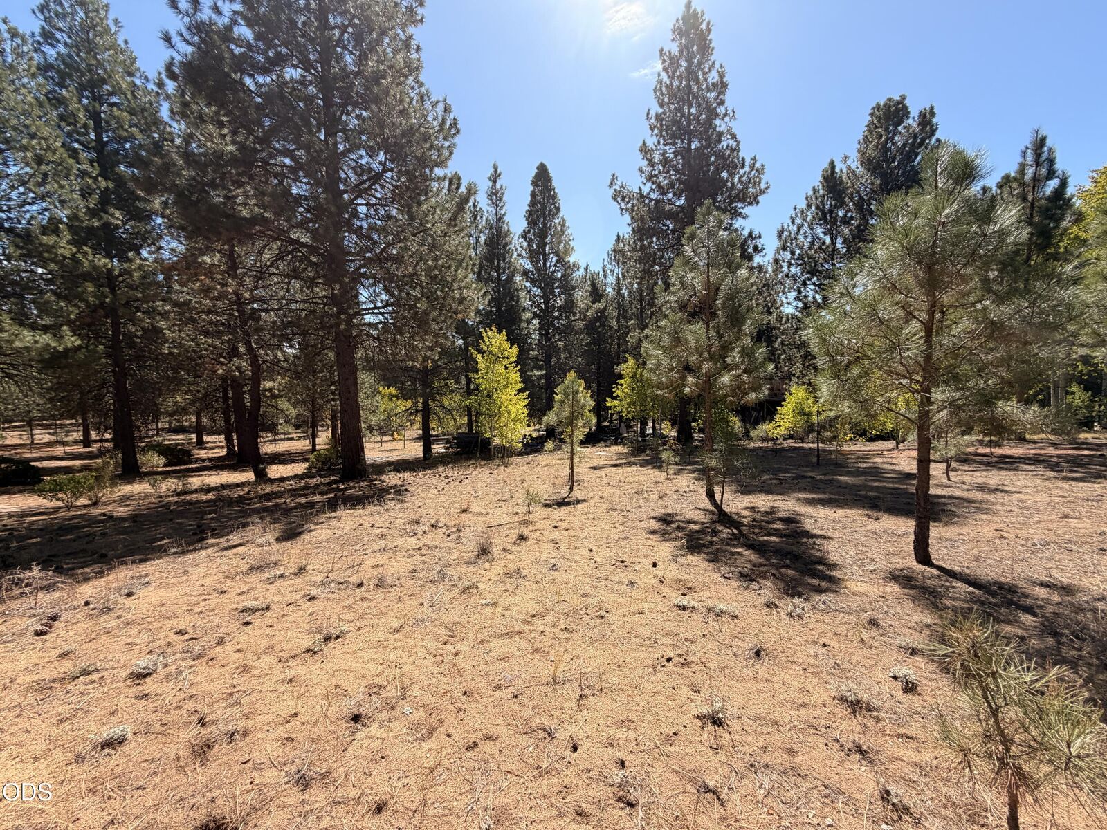 Property Photo: 0 Highway 97 188969 OR 97624