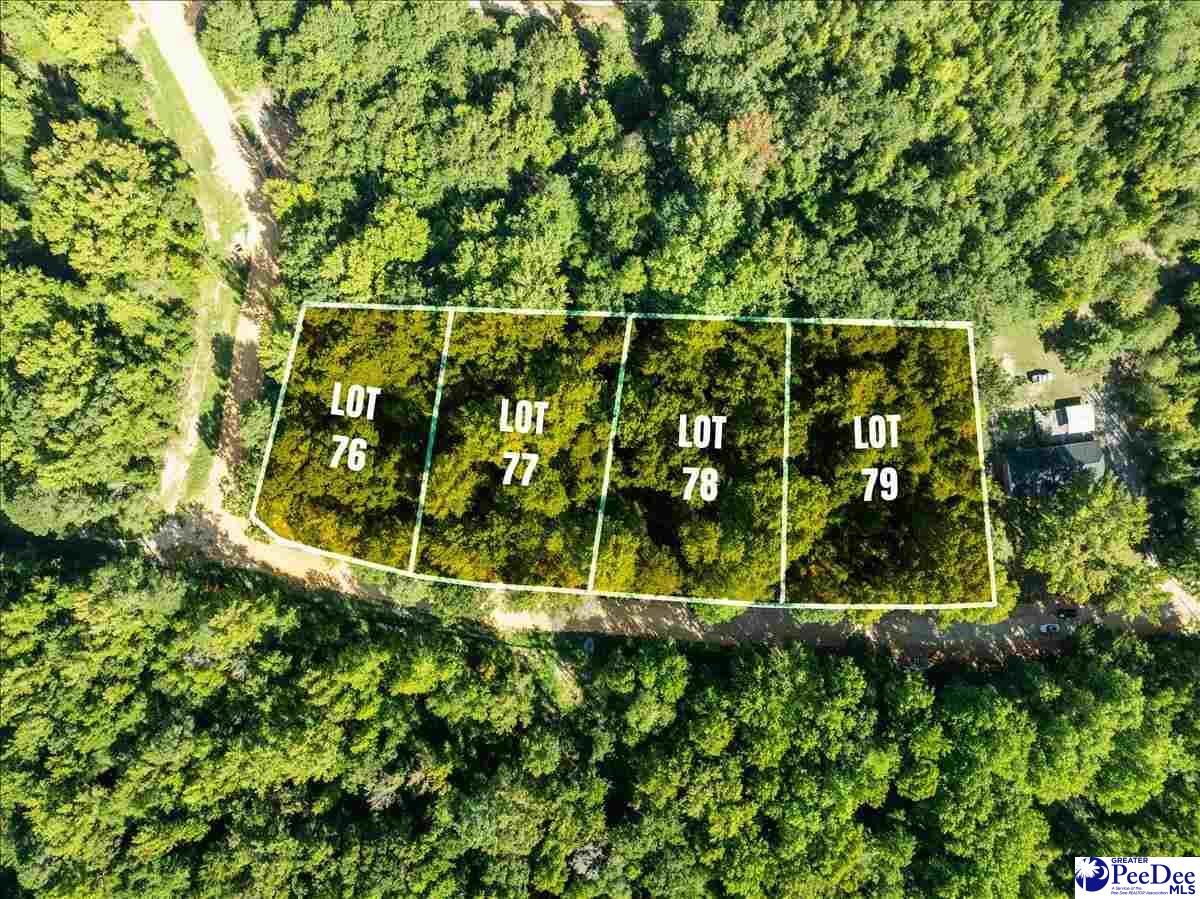 Property Photo:  0000 Jeffrey St. Lot 77  SC 29520 