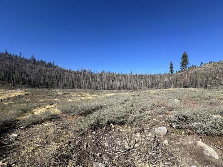 Property Photo:  7239 Rim Drive  CA 96020-0000 