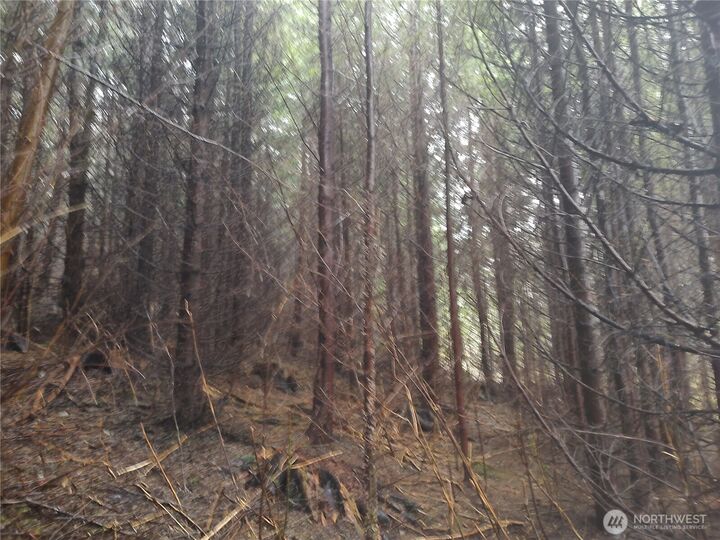 Property Photo:  0 Xxx  Ozette Lake Road  WA 98326 