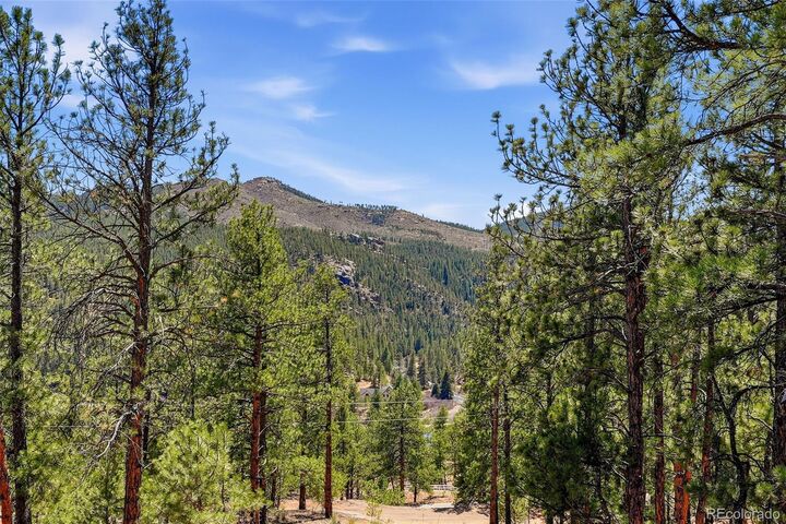 Property Photo: 16687 Ouray Road W CO 80470