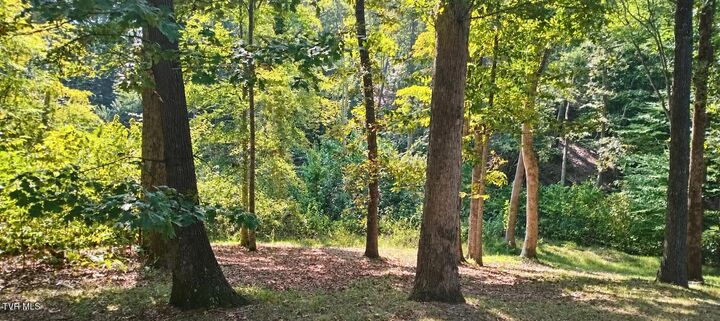 Property Photo: 209 Toqua Lane TN 37811