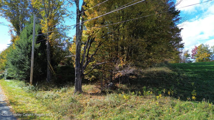 Property Photo: 0 Off Conifer Lake NY 12444