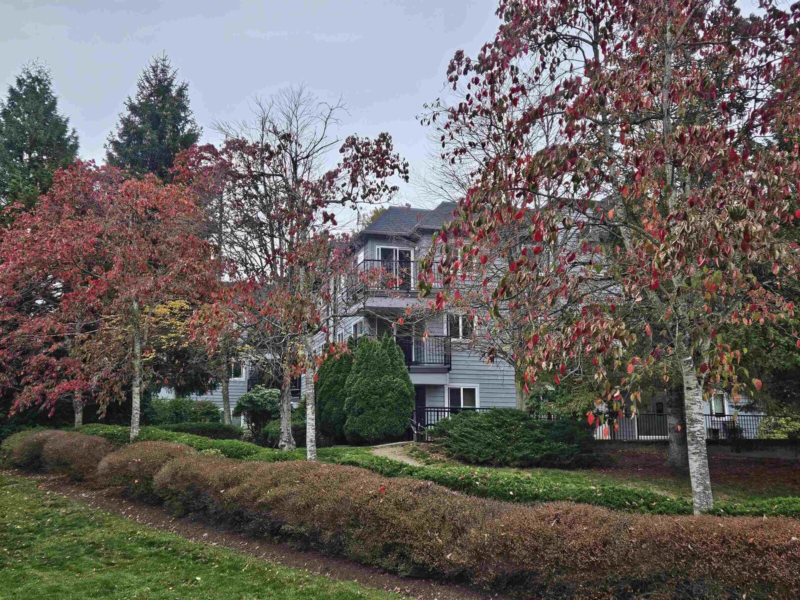 Property Photo:  40180 Willow Crescent 311  BC V8B 0M3 