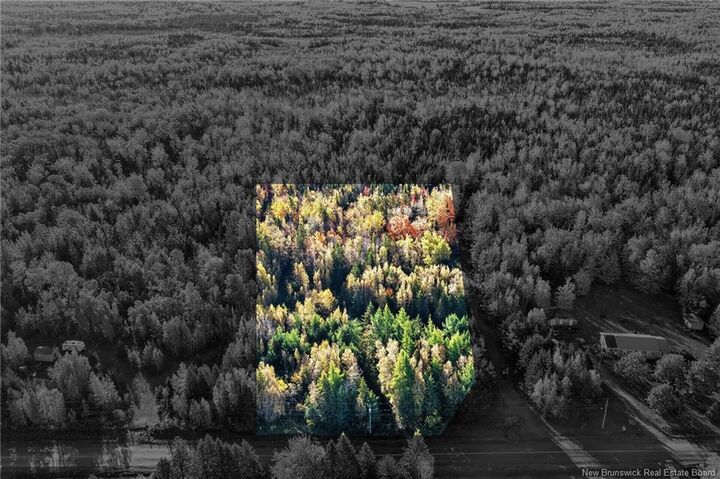 Property Photo:  Lot 20-3 Shediac River Rd  NB E1H 1R9 