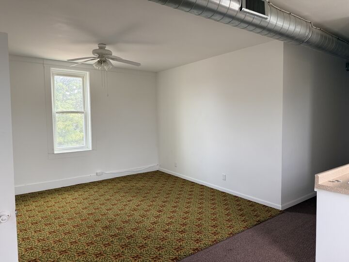 Property Photo: 959 9th Street Back IL 61301