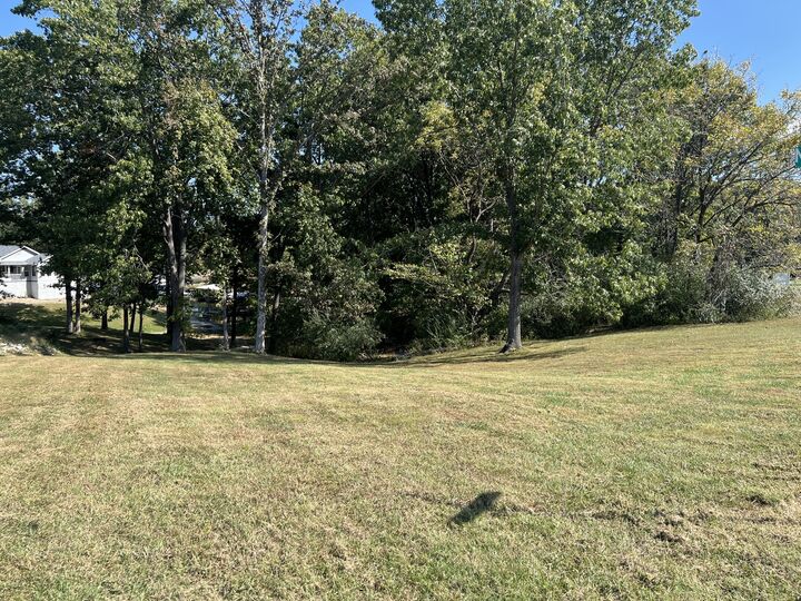 Property Photo:  Lot 42 N Egypt Shores Drive  IL 62922 