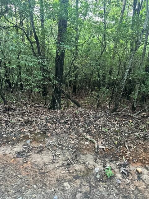 Property Photo:  Lots 3&4 Amicalola Woods Road  GA 30534 