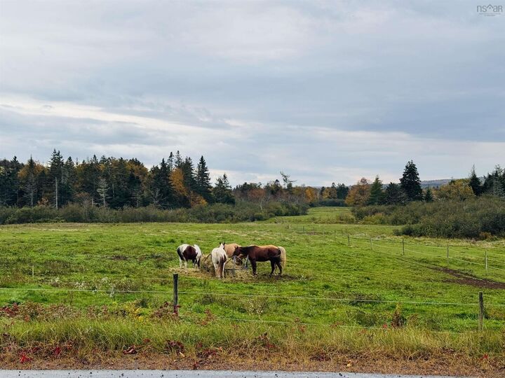 Property Photo:  489 Prospect Road  NS B0M 1S0 