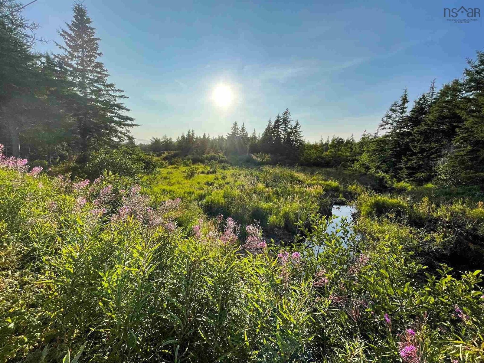Property Photo:  Number 6 Mines Road  NS B1B 1E7 