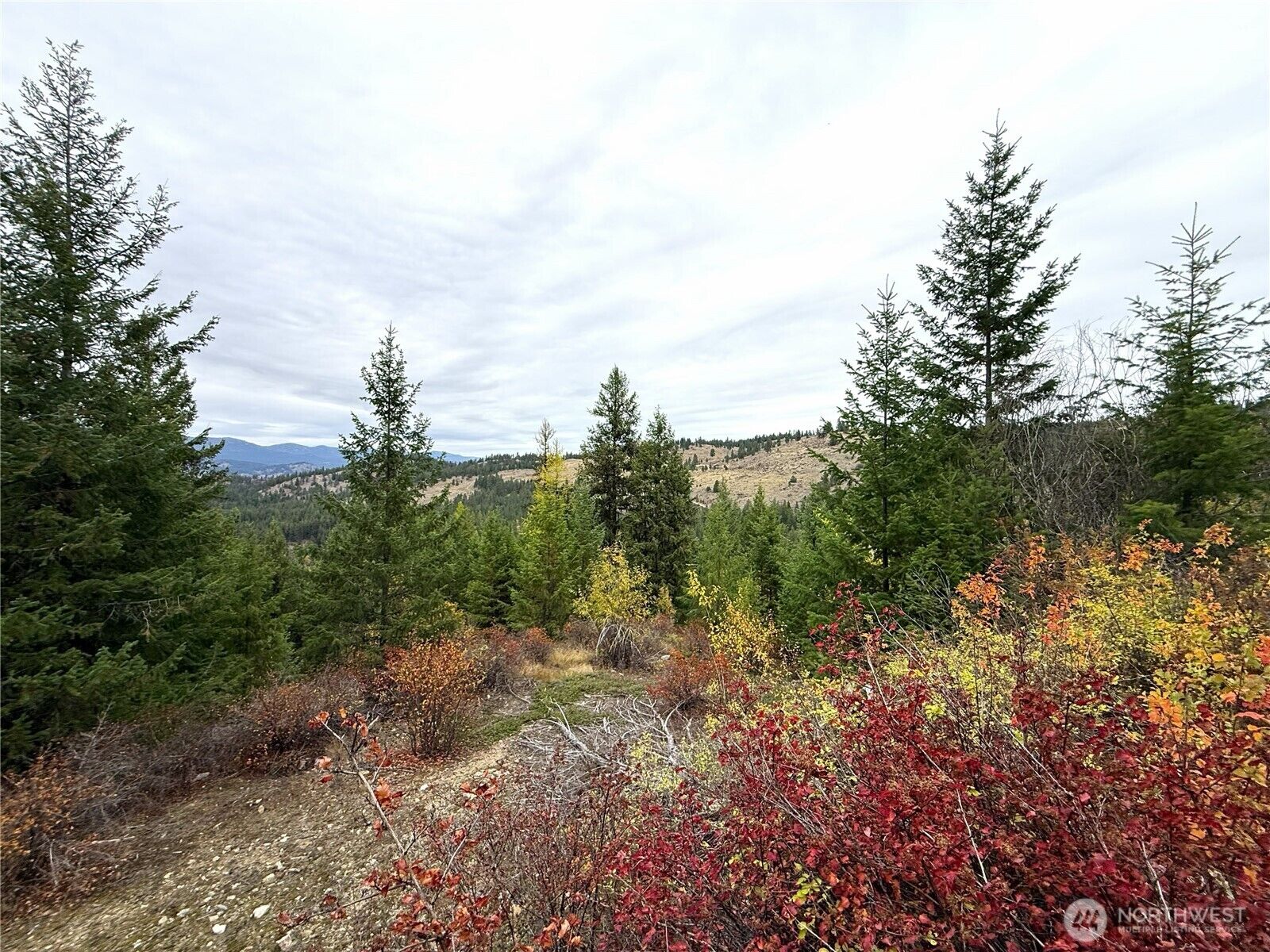 Property Photo:  91  Edgewood Lane  WA 99118 