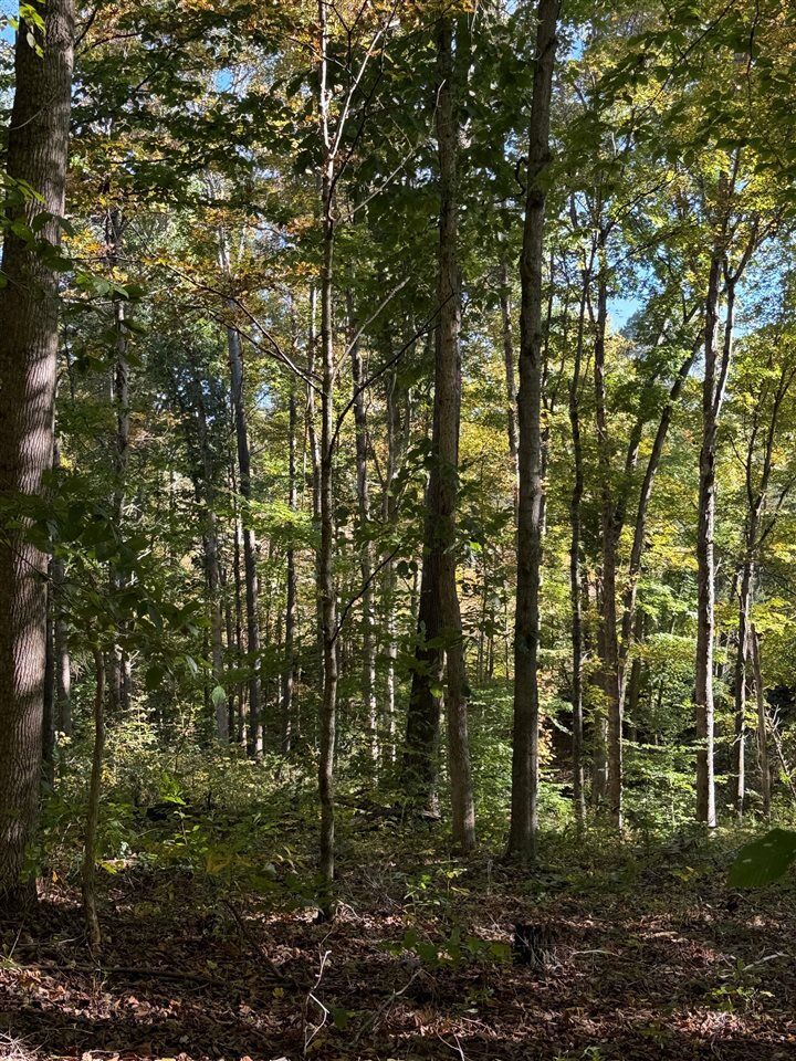 Property Photo:  00 Cornwell Road  KY 42164 