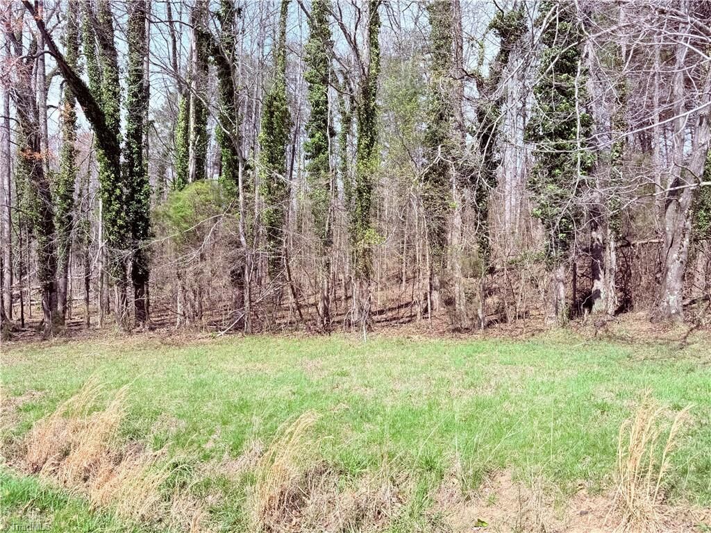Property Photo: 00 Ponderosa Road NC 27048
