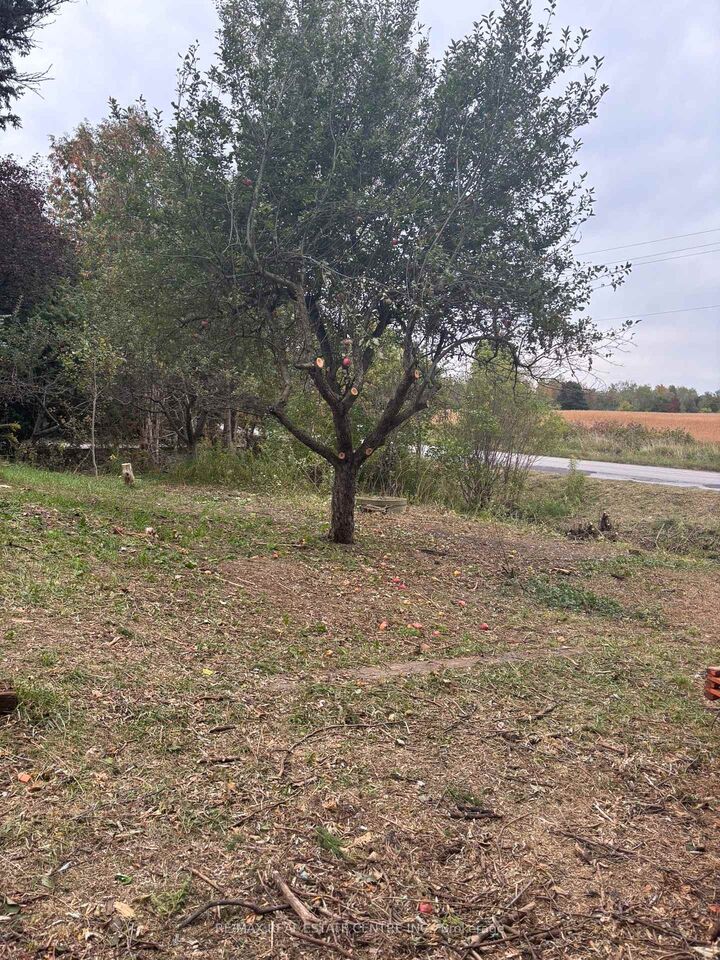 Property Photo:  14273 4th Line  ON L7J 2L8 