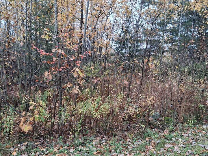 Property Photo:  0 Bear Creek Road  ON P0H 1H0 