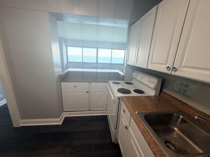 Property Photo:  7337 S South Shore Drive 1109  IL 60649 