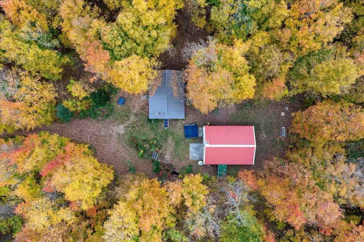 Property Photo: 4524 Summer Lane MI 49659