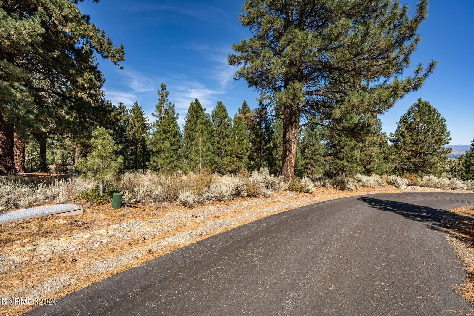 Property Photo: 900 Stutler Creek Court NV 89460