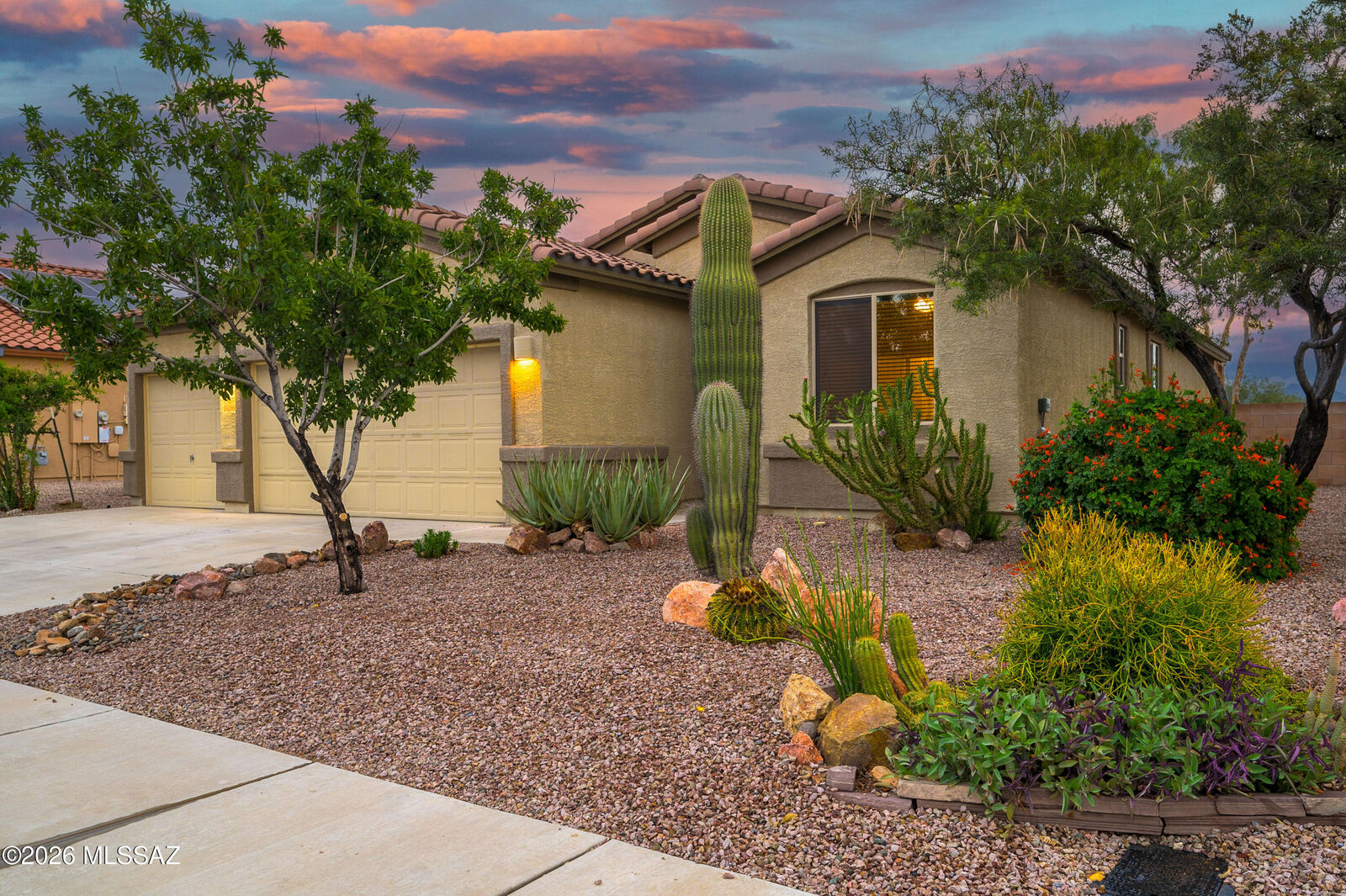 Property Photo:  14288 N Recovered Fossil Avenue  AZ 85658 
