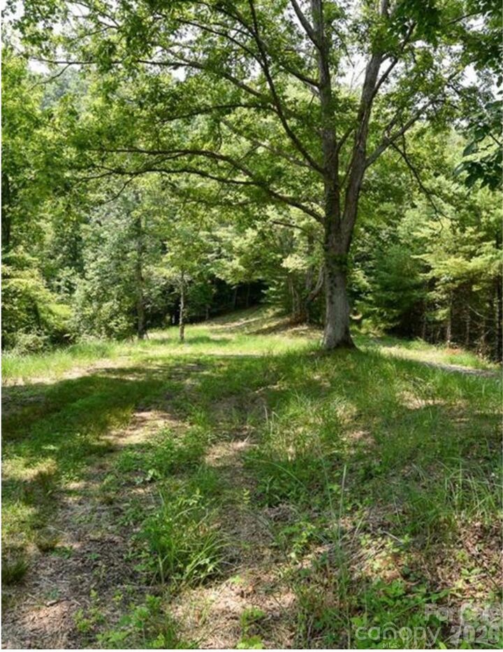 Property Photo:  Lot 2, 4, 9-13, 15, 20-22 The Vines Boulevard  NC 28753 