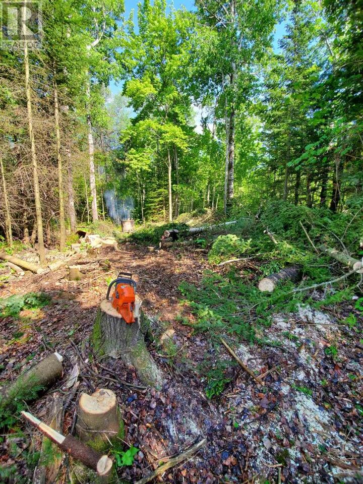 Property Photo:  Lot 53 Lakeshore Dr S  ON P6A 5K8 