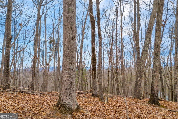 Property Photo:  0 Douglas Fir Drive  GA 30528 