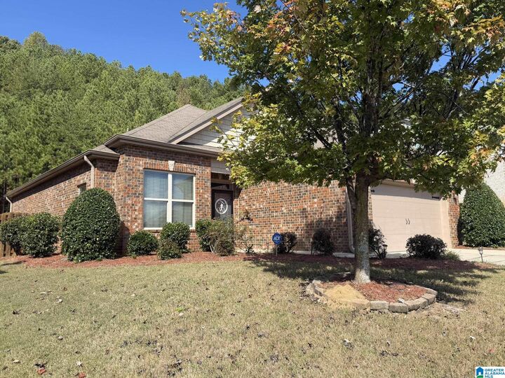Property Photo:  6393 Southern Trace Drive  AL 35094 