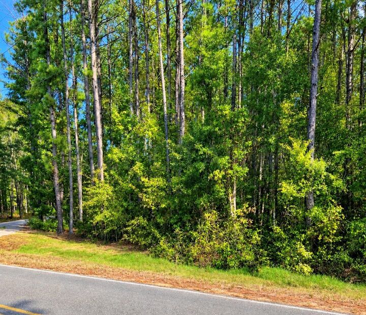 Property Photo: Craig Springs Road MS 39769