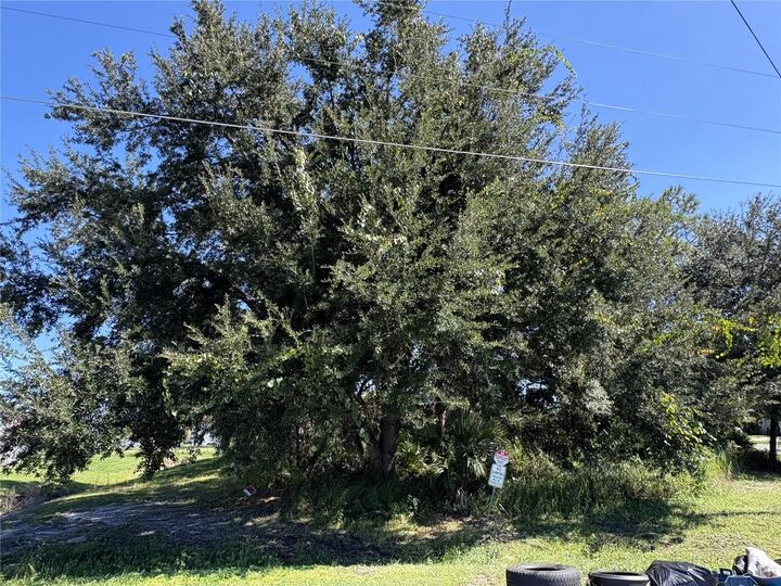 Property Photo:  539 Eagle Court Lot 23  FL 34759 