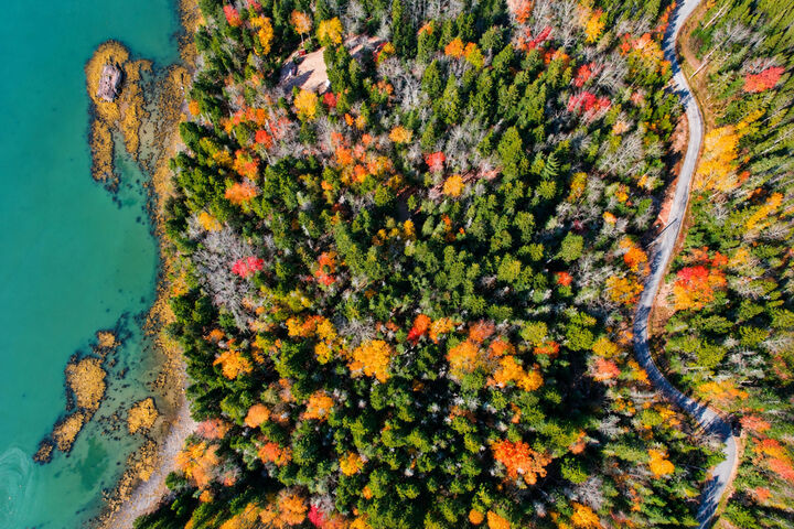 Property Photo:  Lot 20-15 Collins Cove  Road  ME 04655 