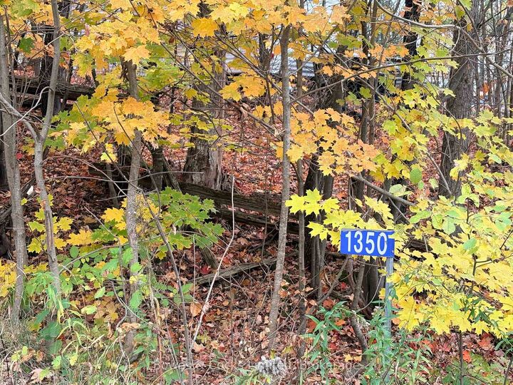 Property Photo: 1350 Madill Road ON K0L 2Y0