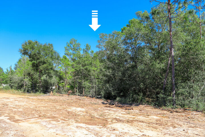 Property Photo:  Lot 9 Leonardo Court  FL 32433 