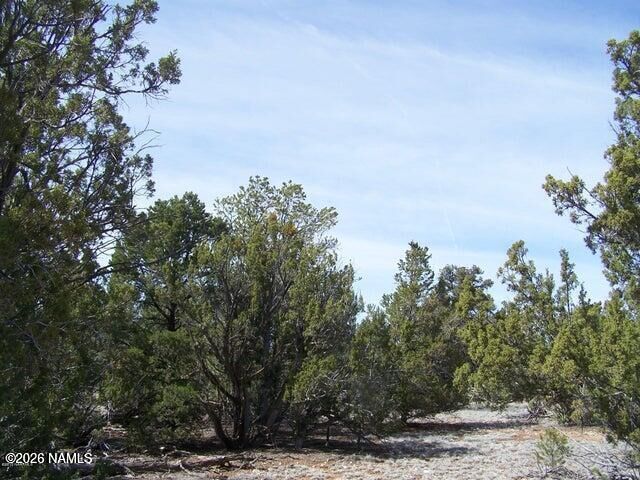 Property Photo: 4685 N Cattle Guard Road AZ 86046