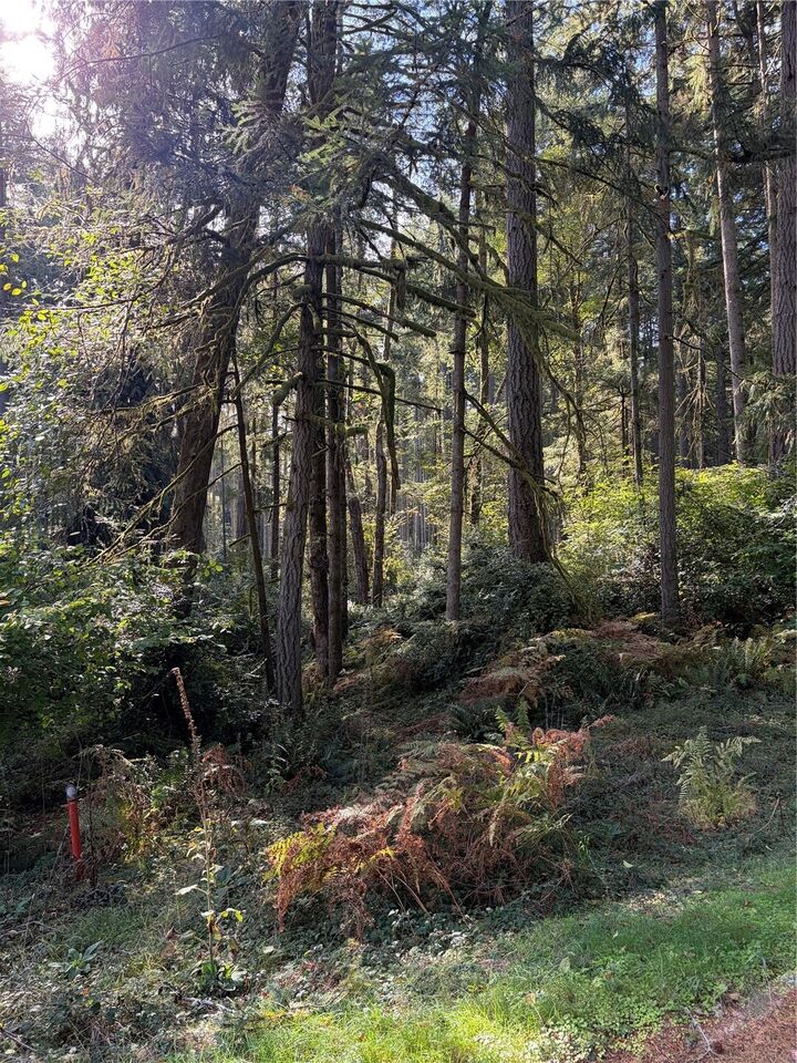 Property Photo:  11616  Country Club Dr.  WA 98303 