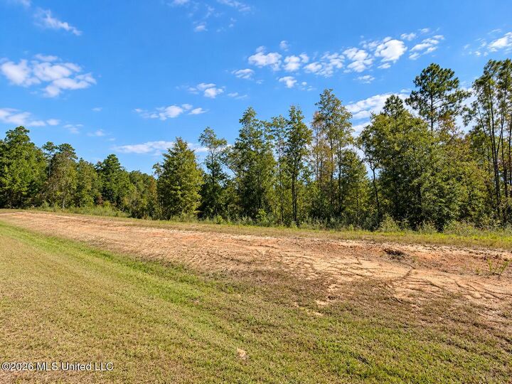 Property Photo:  23.21 +/- Ac Industrial Park Road  MS 39451 