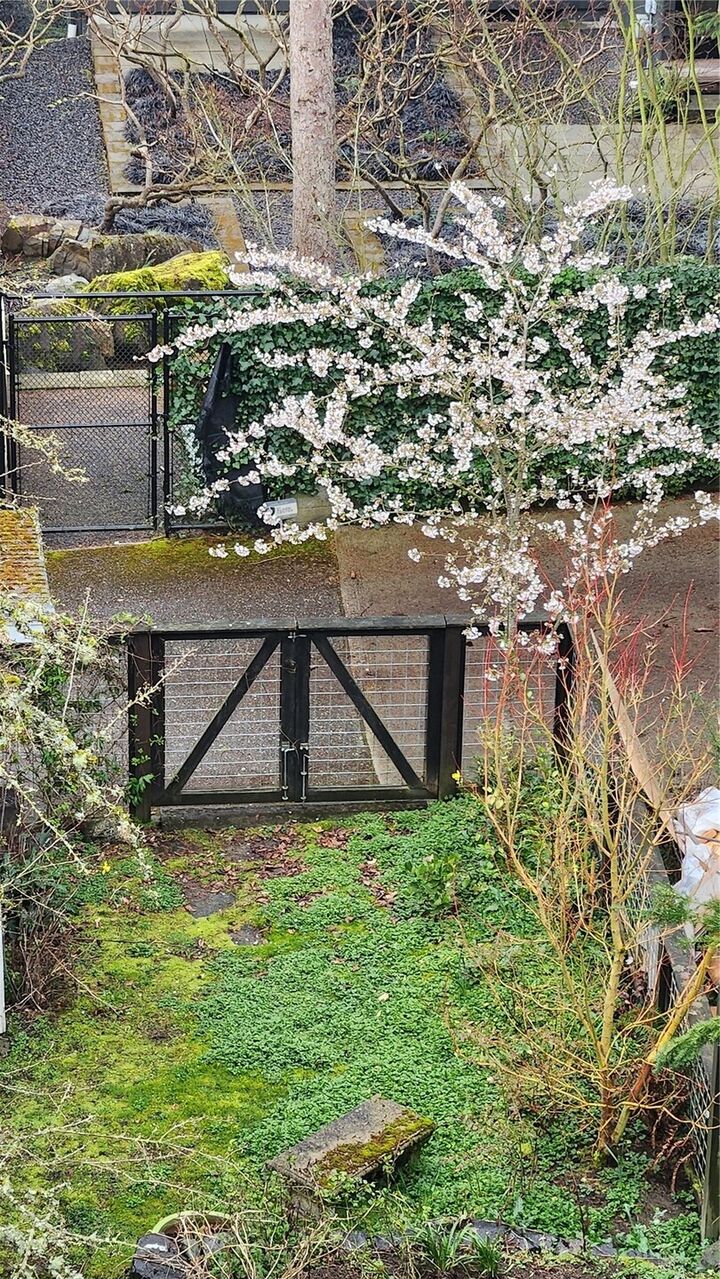 Property Photo: 1210 25th Avenue E WA 98112