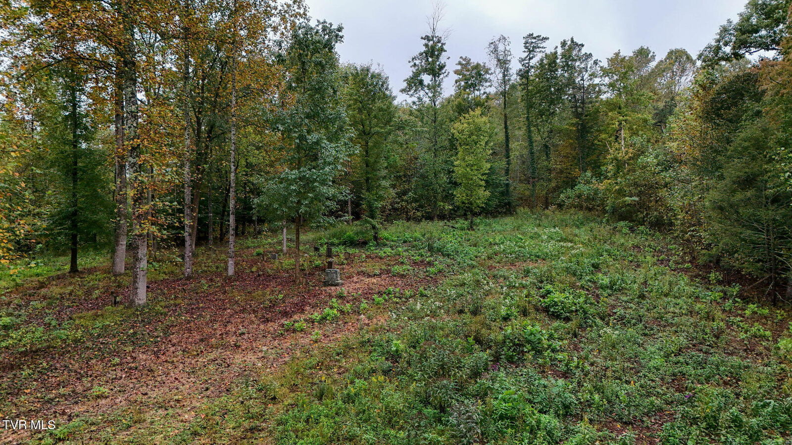 Property Photo:
