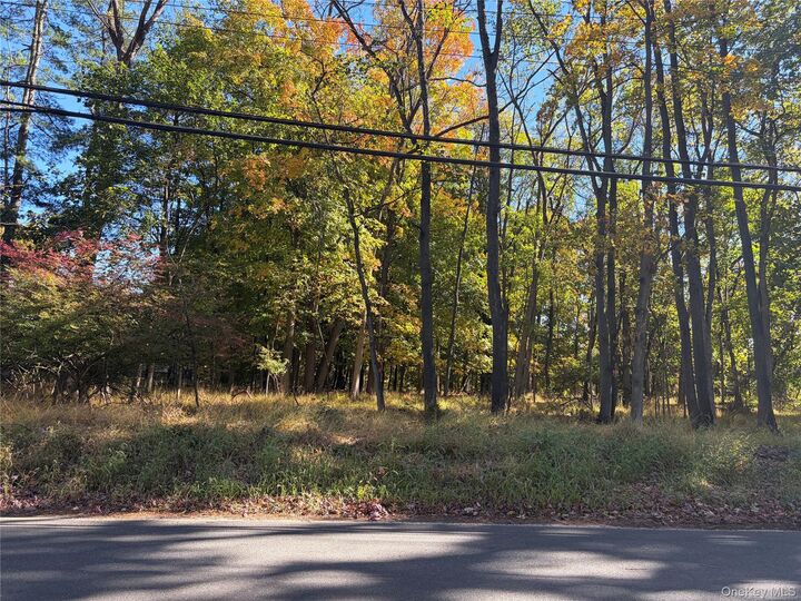 Property Photo: 119 Strawtown Road NY 10956