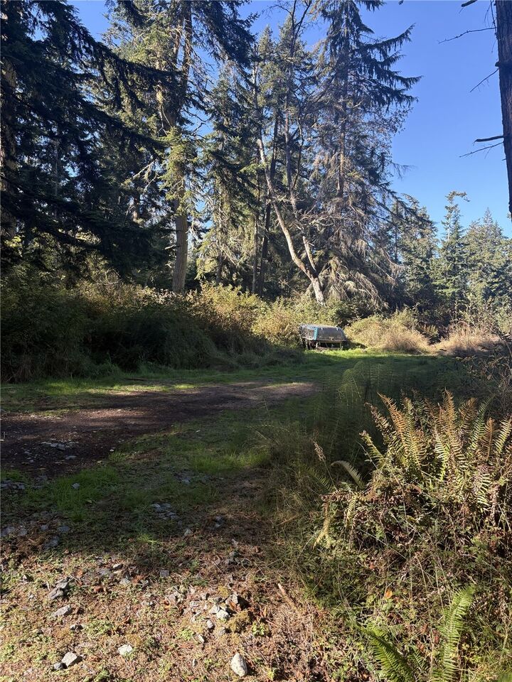 Property Photo: 473 Boyer Lane WA 98249