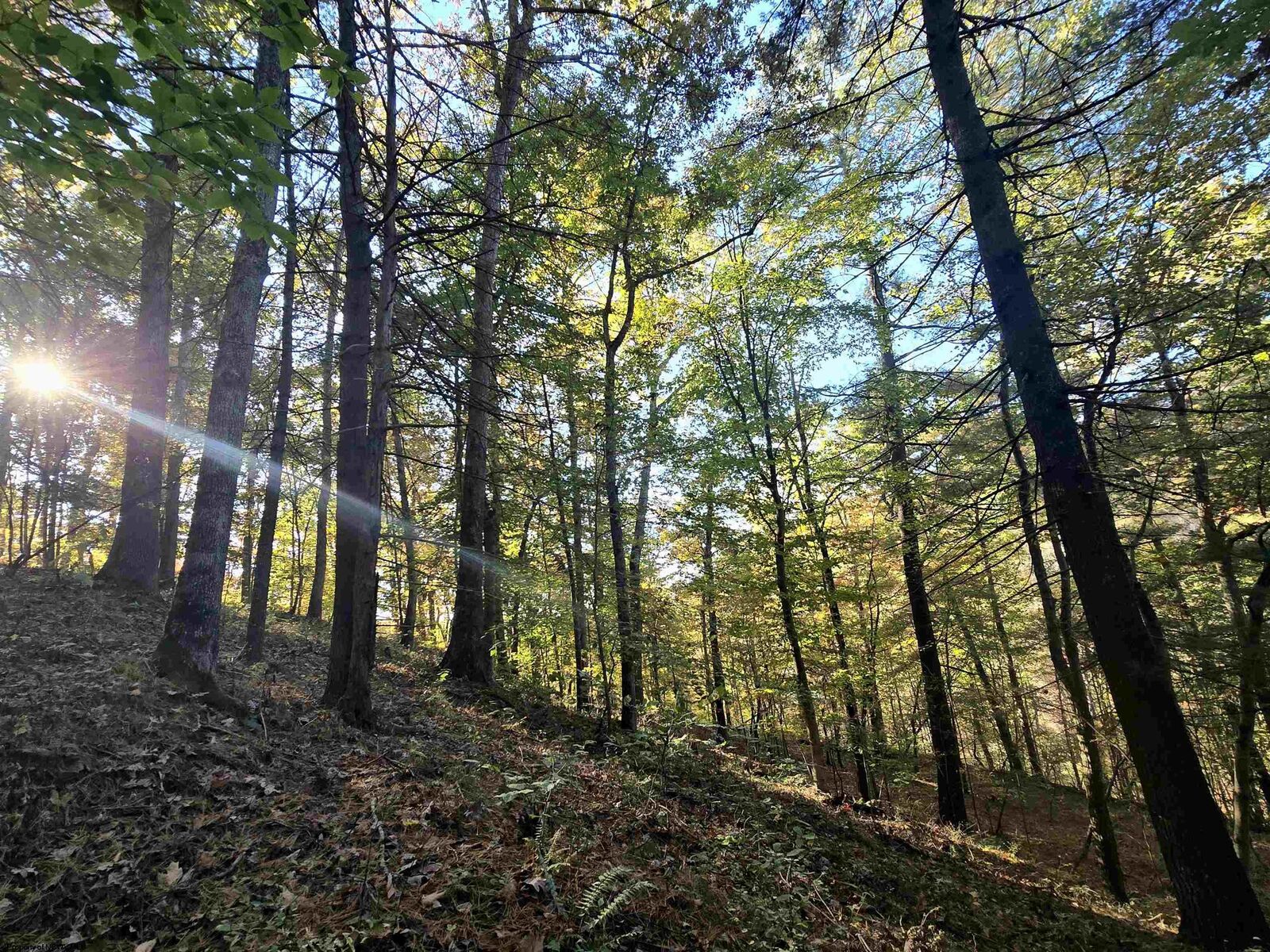 Property Photo:  Rt 4- Broad Run  WV 26339 