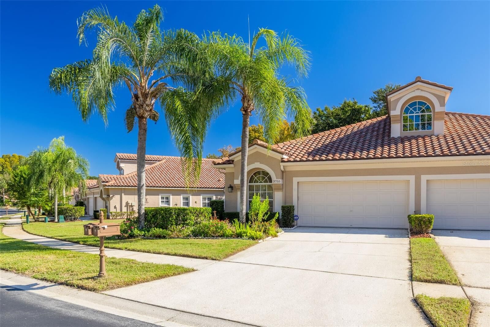 Property Photo:  3755 Darston Street  FL 34685 