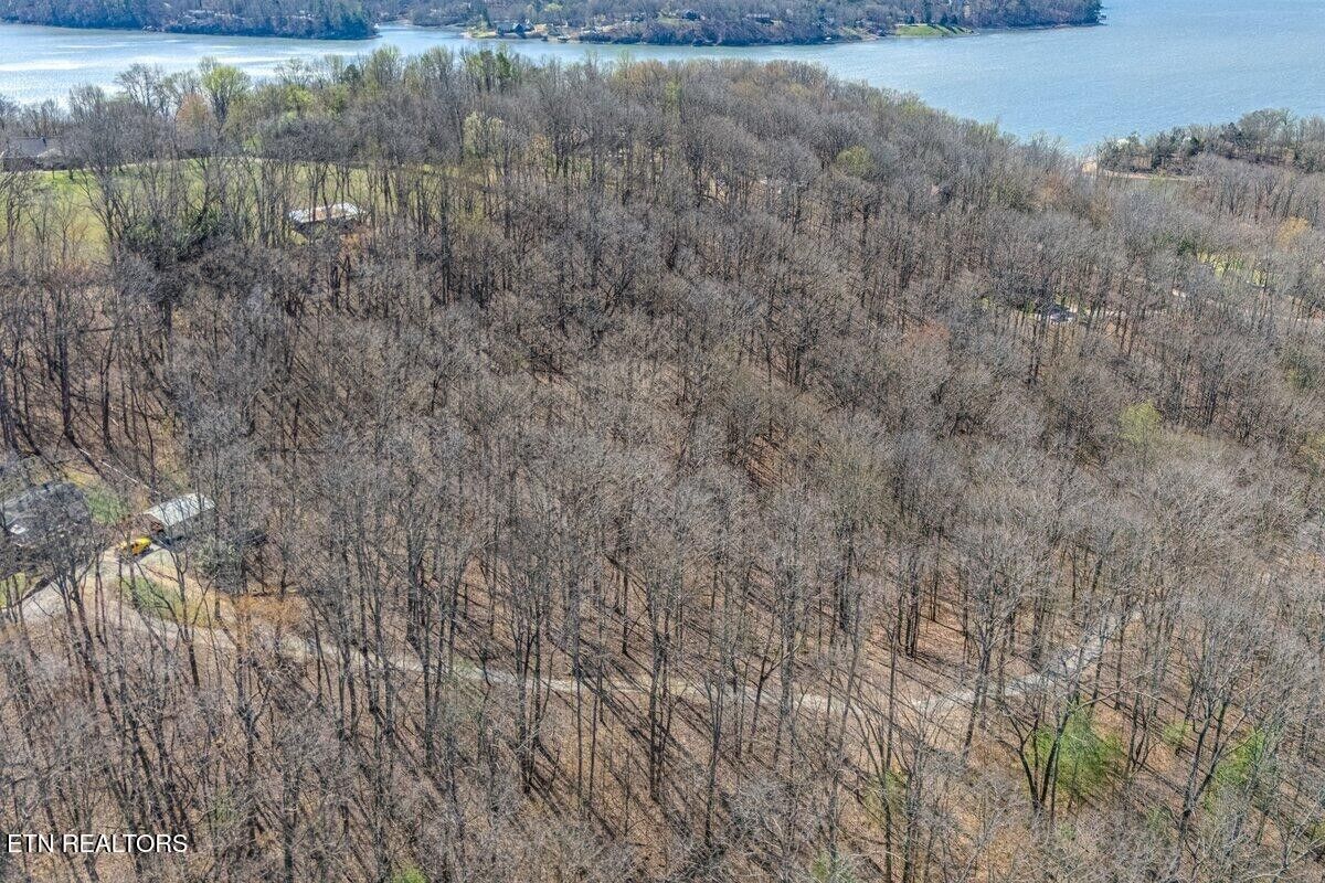 Property Photo:  0 Fawn Rest Drive  TN 37854 