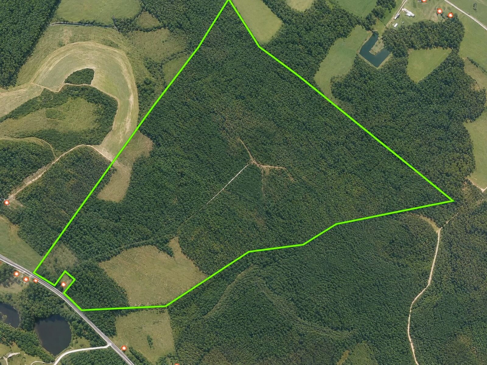 Property Photo: 228.79 Acres Back Swamp Rd SC 29161