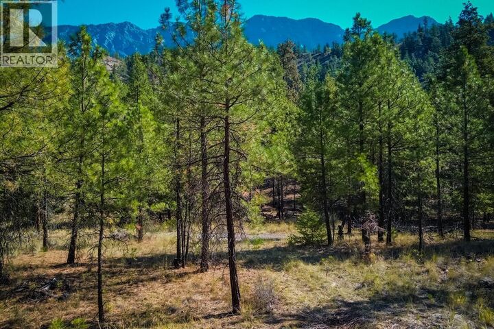 Property Photo:  Lot 2 Hwy 12 Highway  BC V0K 1V0 