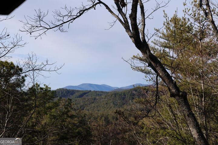 Property Photo:  505 Long Mountain Drive  GA 30552 