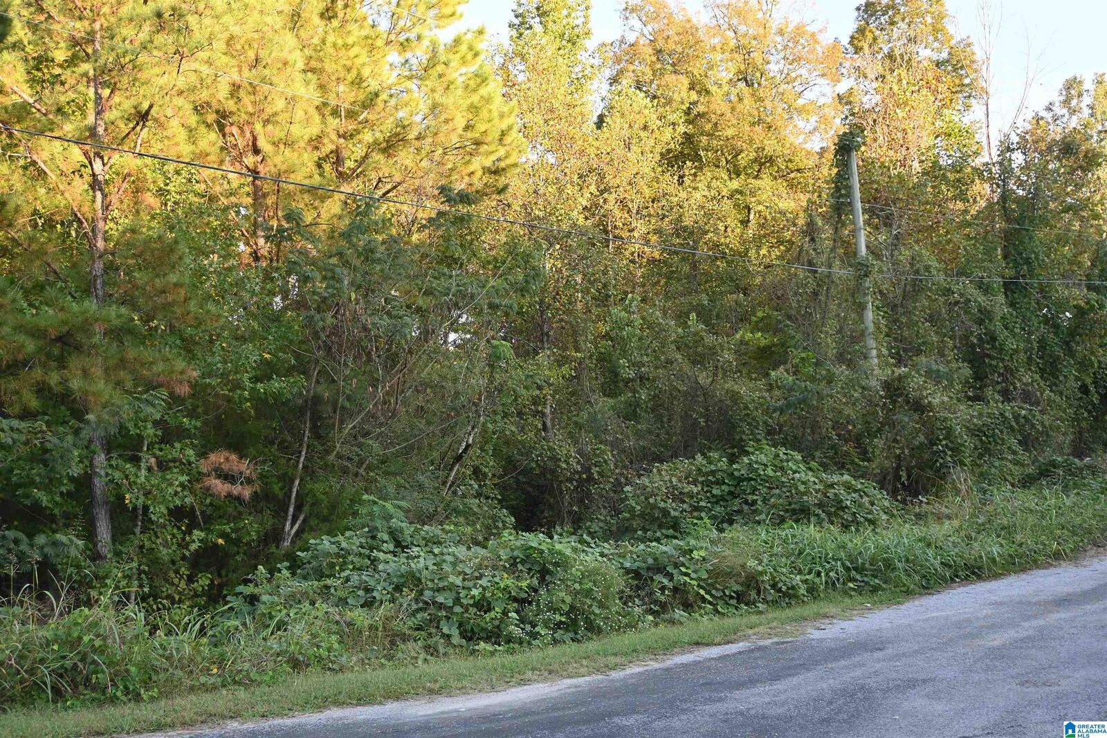 Property Photo: 0 Oakbrook Circle Lots 1 &Amp 2 Oakbrook Circle AL 35049