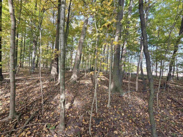 Property Photo:  0000 Lot 1 Cr 51 Road  IN 46721 