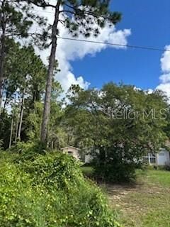 Property Photo:  SW 127th Lane Rd  FL 34473 