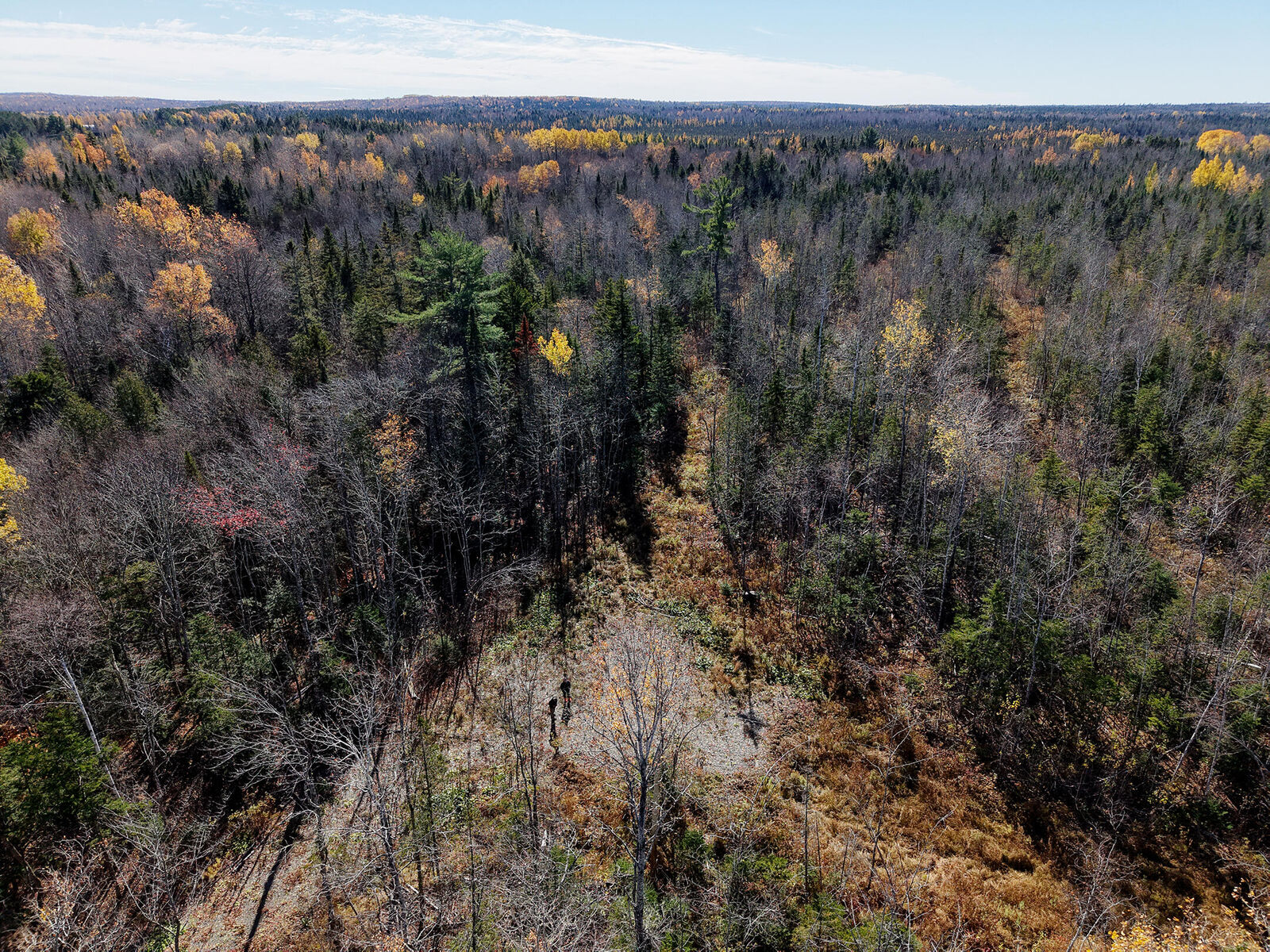 Property Photo:  301  Estabrook Road  ME 04471 
