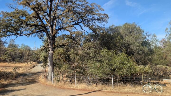 Property Photo: 12239 Long Valley Road CA 95946